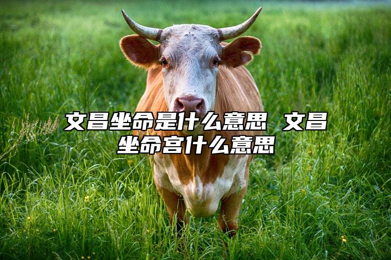 文昌坐命是什么意思 文昌坐命宫什么意思