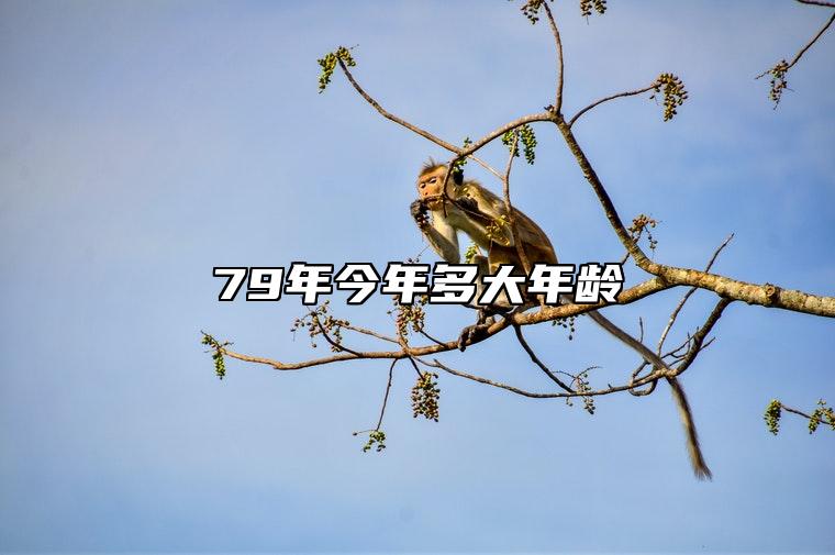 79年今年多大年龄 79年今年多大年龄2023