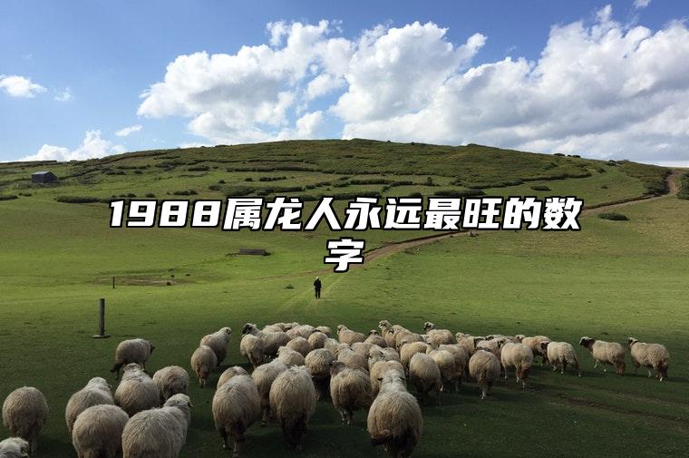 1988属龙人永远最旺的数字 属龙人的幸运数字