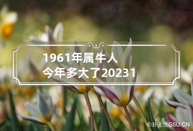 1961年属牛人今年多大了2023 1960年属牛的今年多少岁