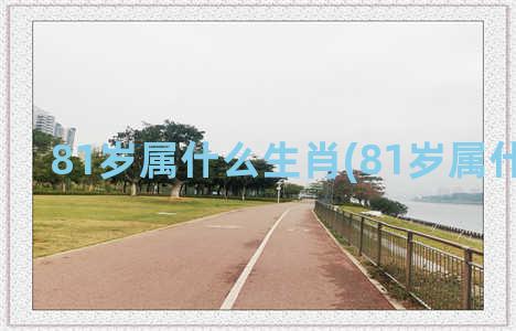 81岁属什么生肖(81岁属什么生肖)