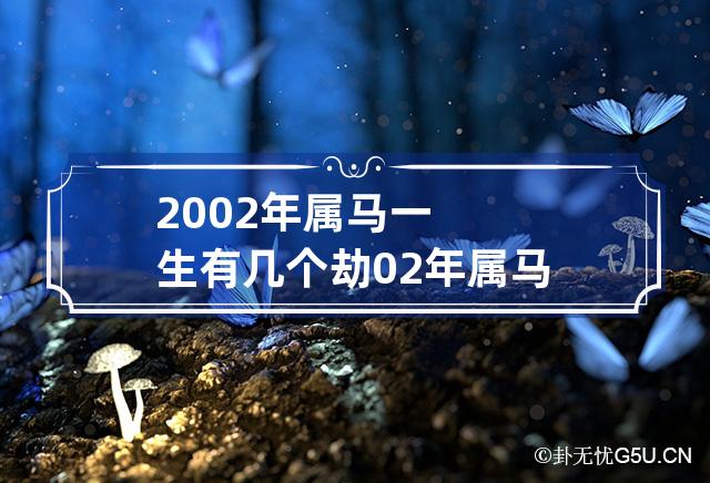 2002年属马一生有几个劫 02年属马一生的大劫