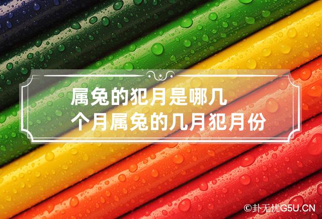 属兔的犯月是哪几个月 属兔的几月犯月份