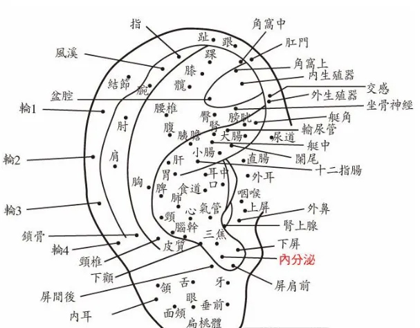 女人右耳垂下有痣图解图片