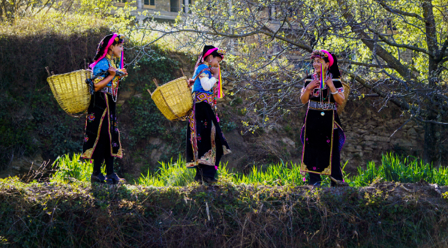 藏族的传统节日 藏族有什么节日