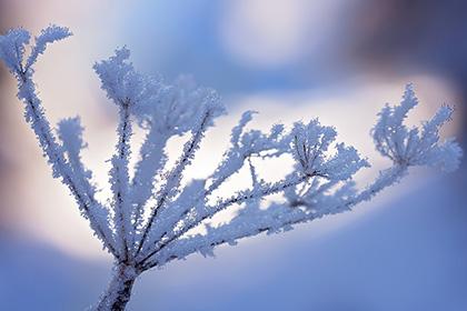 搬家下雪是什么兆头