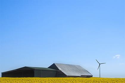 今年虚岁79岁是哪年生什么生肖