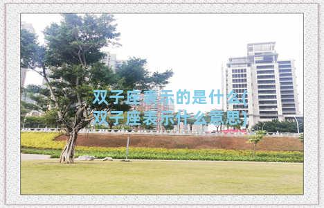 双子座表示的是什么(双子座表示什么意思)