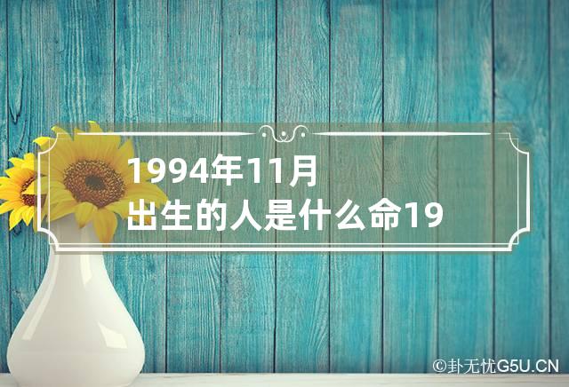 1994年11月出生的人是什么命 1994年11月出生的人是什么命格