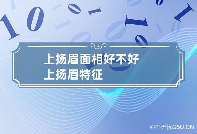 上扬眉面相好不好 上扬眉特征