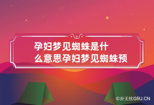 孕妇梦见蜘蛛是什么意思 孕妇梦见蜘蛛预示着什么