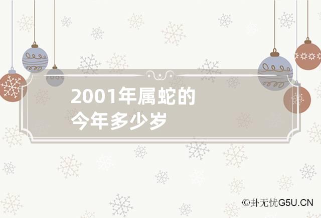 2001年属蛇的今年多少岁