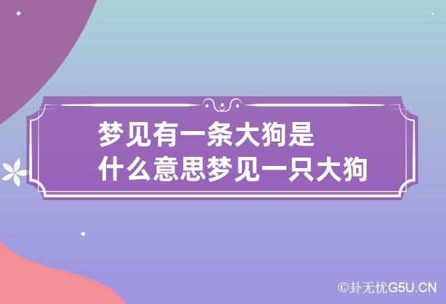 梦见有一条大狗是什么意思 梦见一只大狗什么意思