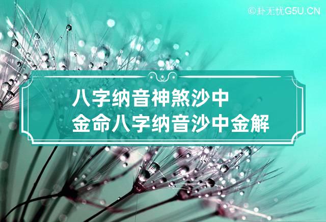 八字纳音神煞沙中金命 八字纳音沙中金解析