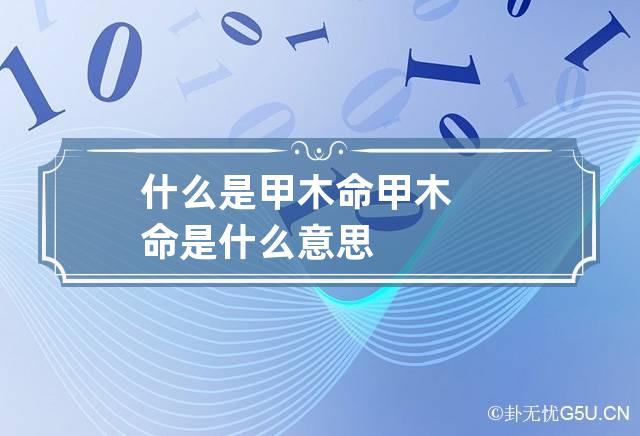 什么是甲木命 甲木命是什么意思