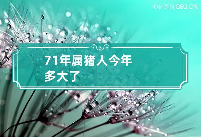 71年属猪人今年多大了