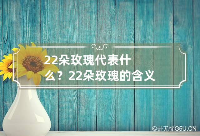 22朵玫瑰代表什么？ 22朵玫瑰的含义