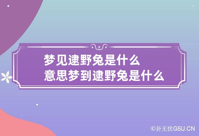 梦见逮野兔是什么意思 梦到逮野兔是什么意思