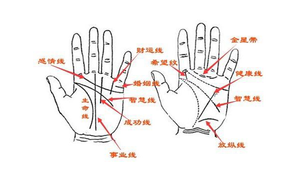 掌纹婚姻线有两条必定二婚吗,二婚的掌纹标志,手掌上的婚姻线有二条纹