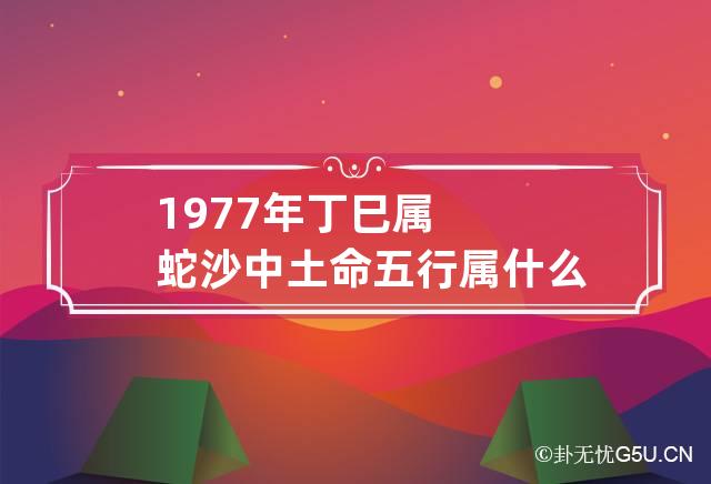 1977年丁巳属蛇沙中土命五行属什么，五行属土