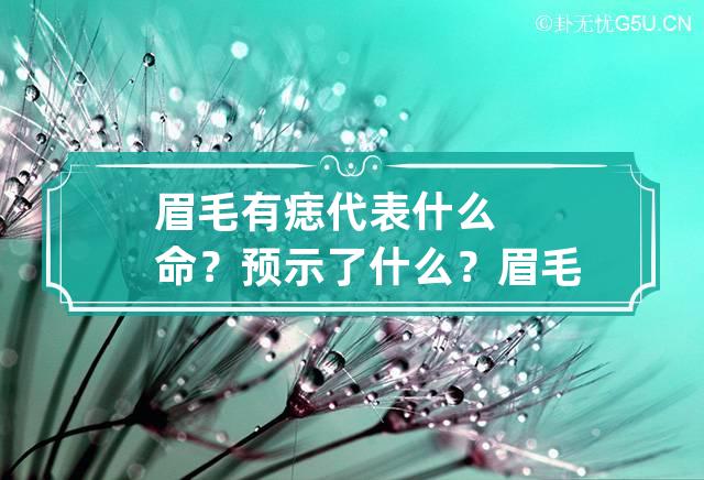 眉毛有痣代表什么命？预示了什么？ 眉毛有痣看相图解