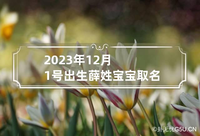 2023年12月1号出生薛姓宝宝取名叫什么 薛宝宝起名