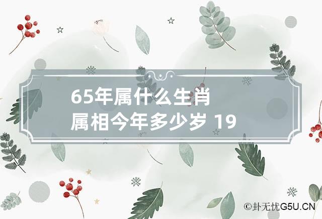 65年属什么生肖属相今年多少岁 1965年属什么属相什么命