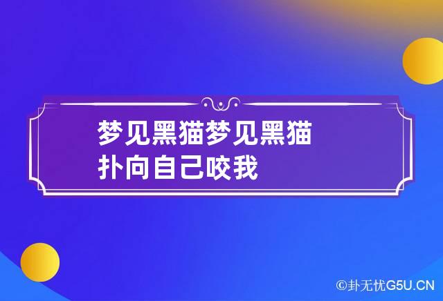 梦见黑猫 梦见黑猫扑向自己咬我