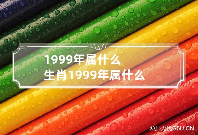 1999年属什么生肖 1999年属什么生肖属相什么命