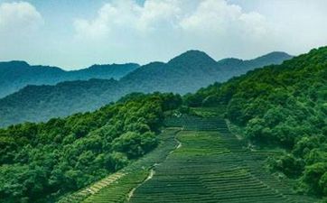 为什么闰月年上坟不许填土？ 闰年不能动坟上的土吗