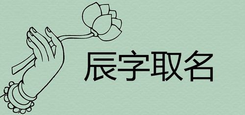 辰字取名大全