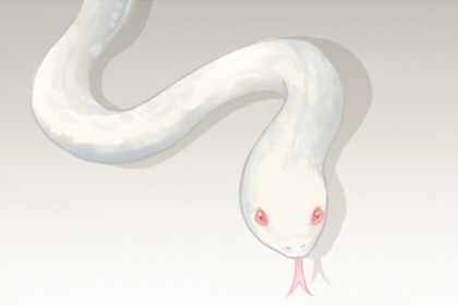 女人梦见小蛇是胎梦吗 有什么预兆