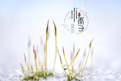 2019年小雪开始下雪了吗