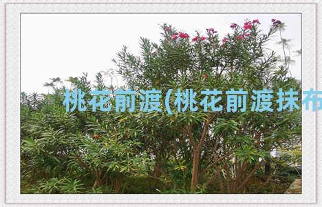 桃花前渡(桃花前渡抹布)