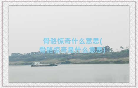 骨骼惊奇什么意思(骨骼惊奇是什么意思)