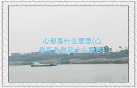 心慰是什么意思(心慰和欣慰是什么意思)