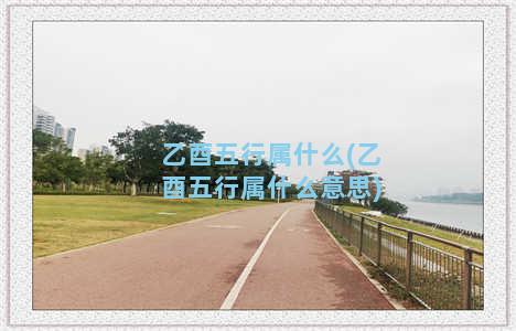 乙酉五行属什么(乙酉五行属什么意思)