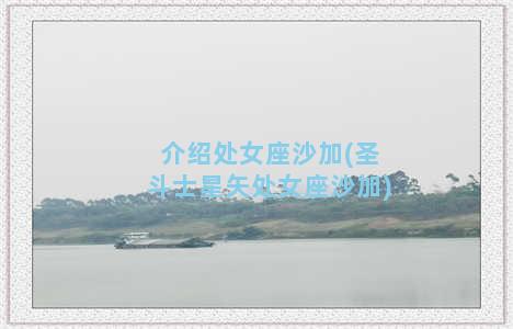 介绍处女座沙加(圣斗士星矢处女座沙加)