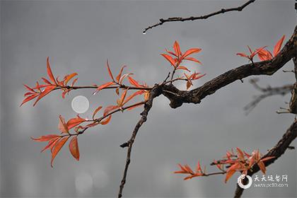 闰月鞋需要给公婆买吗