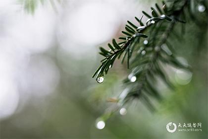 坐西朝东的房子风水布局！房屋朝东主卧朝哪儿比较吉利