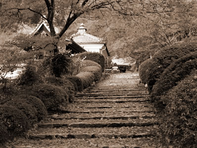 风水术数优秀教师，风水师李居明介绍