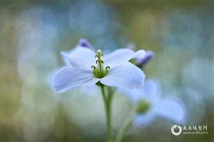 什么叫六斋日十斋日,六斋日和十斋日的区别