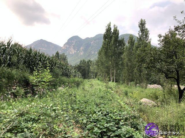 明天是纯卯日，俗话说：“雨淋纯卯头，遍地起坟头”，啥是纯卯？