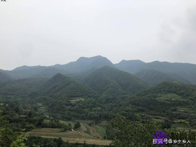 明天是纯卯日，俗话说：“雨淋纯卯头，遍地起坟头”，啥是纯卯？