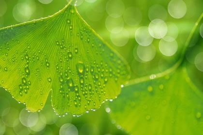 惊蛰日打雷下雨好不好