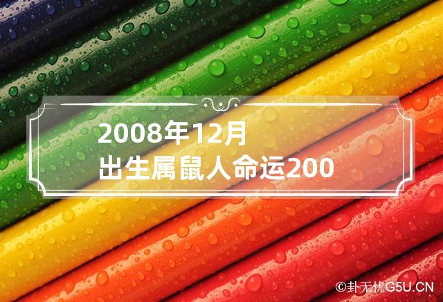 2008年12月出生属鼠人命运 2008属鼠12月是什么命