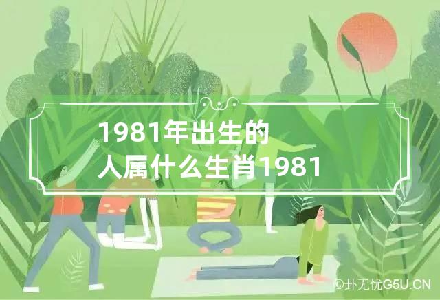 1981年出生的人属什么生肖 1981年出生的人属什么?