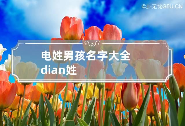 电姓男孩名字大全 dian姓