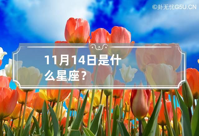 11月14日是什么星座？