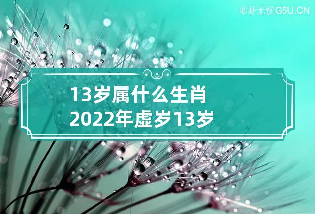 13岁属什么生肖 2022年虚岁13岁属什么生肖